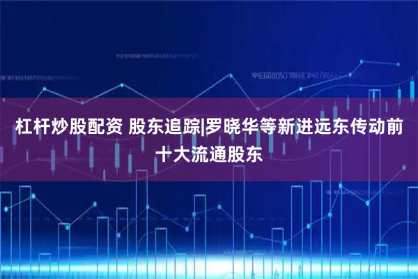 杠杆炒股配资 股东追踪|罗晓华等新进远东传动前十大流通股东