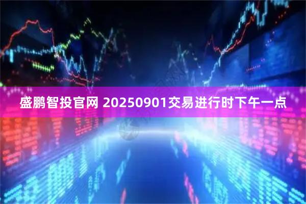 盛鹏智投官网 20250901交易进行时下午一点