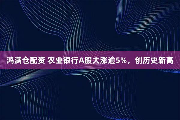 鸿满仓配资 农业银行A股大涨逾5%，创历史新高